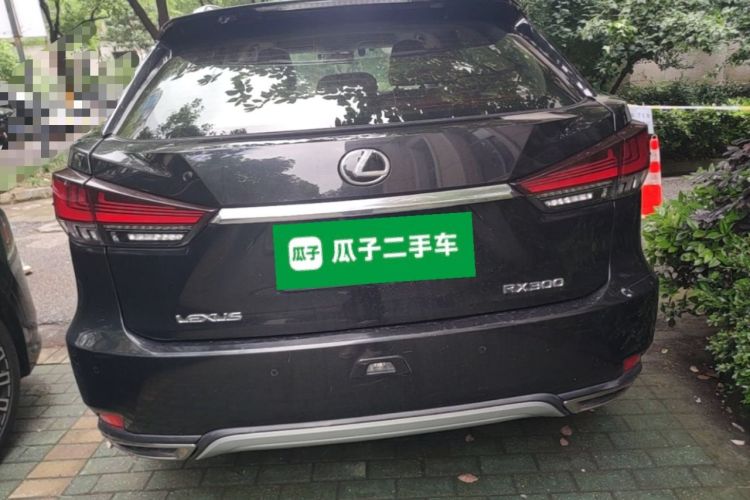 Used Lexus RX 2020 300 Two-Wheel Drive Elite Edition China VI Standard Rear