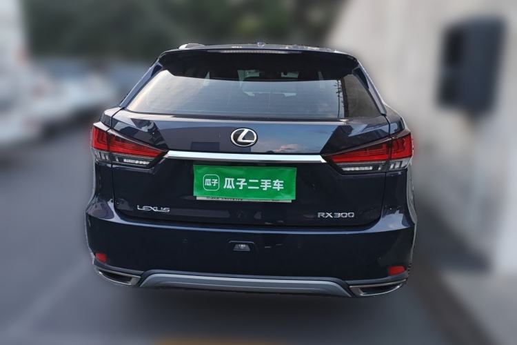 Used Lexus RX 2020 Revised Version 300 Two-Wheel Drive Comfort Edition Rear