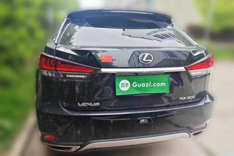 Used Lexus RX 2020 300 Two-Wheel Drive Comfort Edition China VI Standard Rear