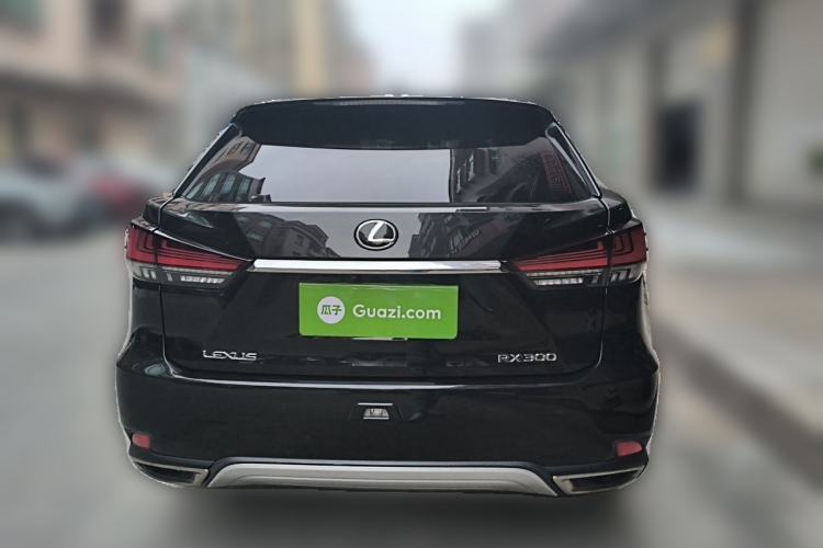 Used Lexus RX 2020 300 4x4 Elegant Edition China VI Rear