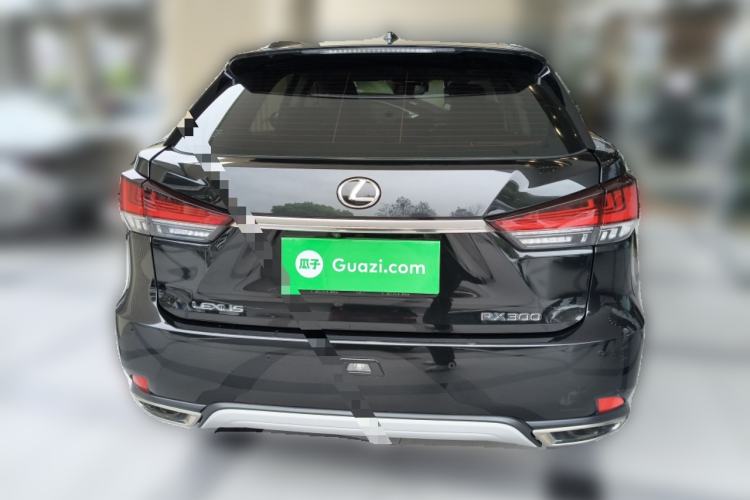 Used Lexus RX 2020 Revised Version 300 Two-Wheel Drive Comfort Edition Rear
