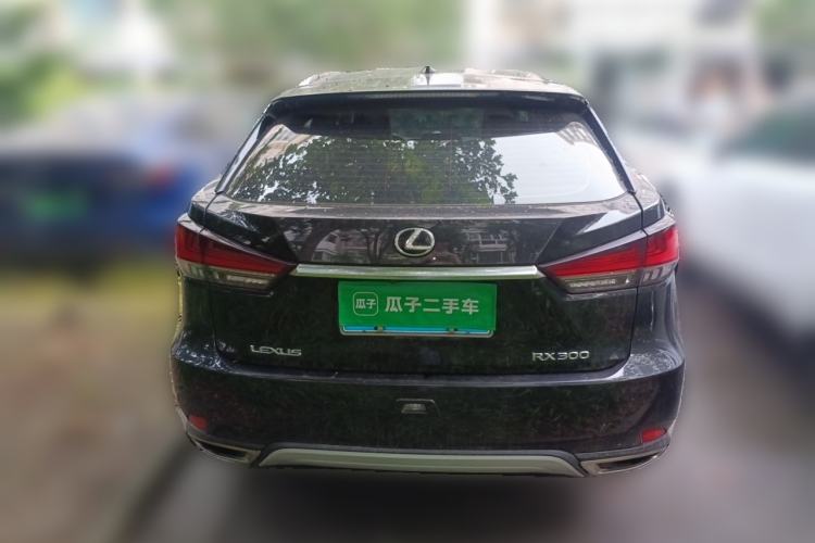 Used Lexus RX 2020 300 Two-Wheel Drive Elite Edition China VI Standard Rear