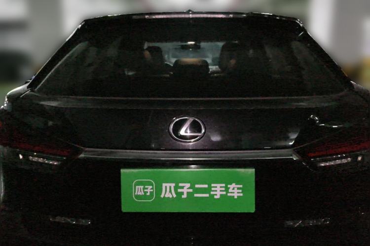 Used Lexus RX 2020 Revised Version 300 Two-Wheel Drive Elite Edition Rear