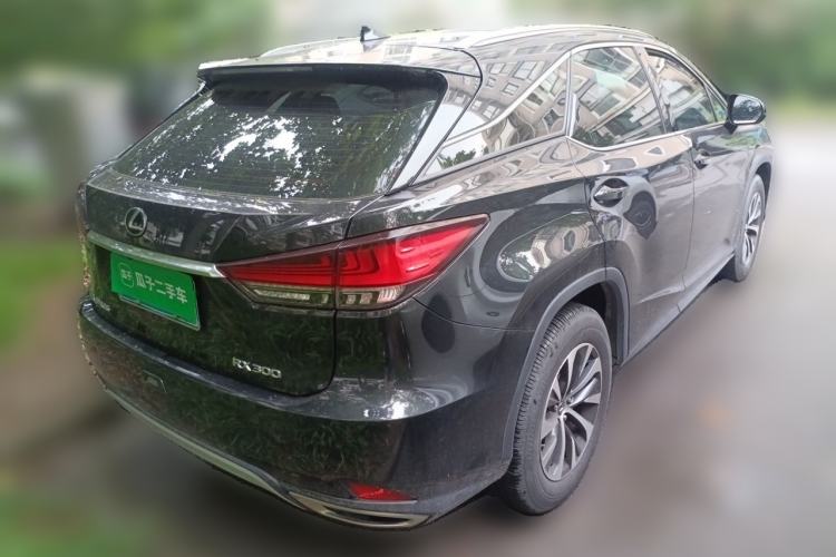 Used Lexus RX 2020 300 Two-Wheel Drive Elite Edition China VI Standard Rear Right 45 Deg