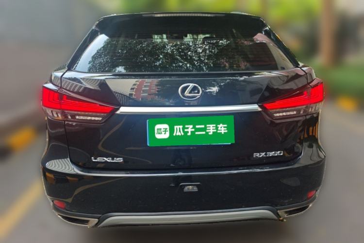 Used Lexus RX 2020 Revised Version 300 Two-Wheel Drive Comfort Edition Rear