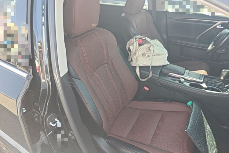 Used Lexus RX 2020 300 Two-Wheel Drive Elite Edition China VI Standard Right Front Seat