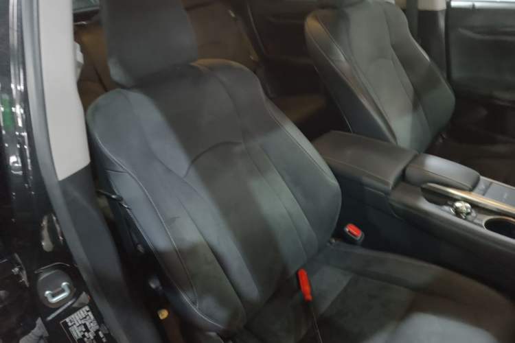 Used Lexus RX 2020 Revised Version 300 Two-Wheel Drive Elite Edition Right Front Seat