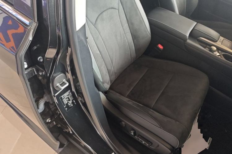 Used Lexus RX 2020 Revised Version 300 Two-Wheel Drive Elite Edition Right Front Seat