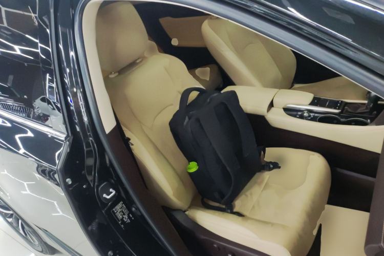 Used Lexus RX 2020 300 Two-Wheel Drive Elite Edition China VI Standard Right Front Seat
