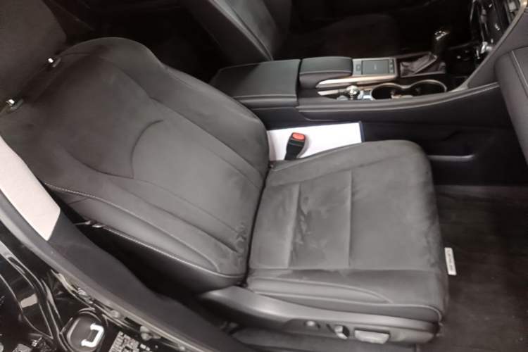 Used Lexus RX 2020 Revised Version 300 Two-Wheel Drive Elite Edition Right Front Seat