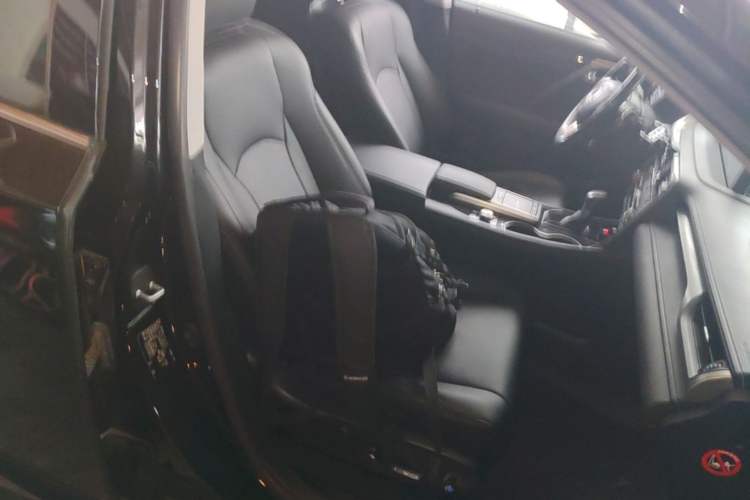 Used Lexus RX 2020 Revised Version 300 Two-Wheel Drive Elite Edition Right Front Seat