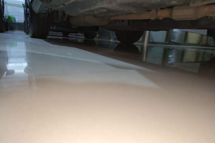 Used Lexus RX 2020 Revised Version 300 Two-Wheel Drive Elite Edition Right Side Sill