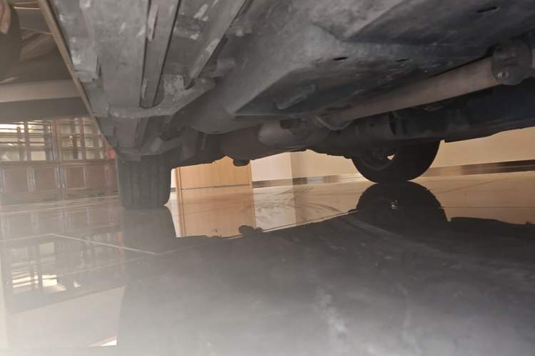 Used Lexus RX 2020 300 4x4 Elegant Edition China VI Right Side Sill