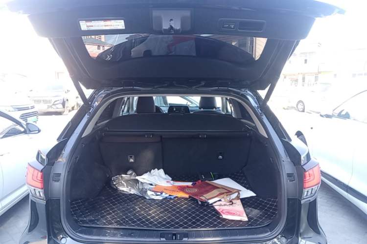Used Lexus RX 2020 Facelifted 300 4x4 Elegant Edition Trunk