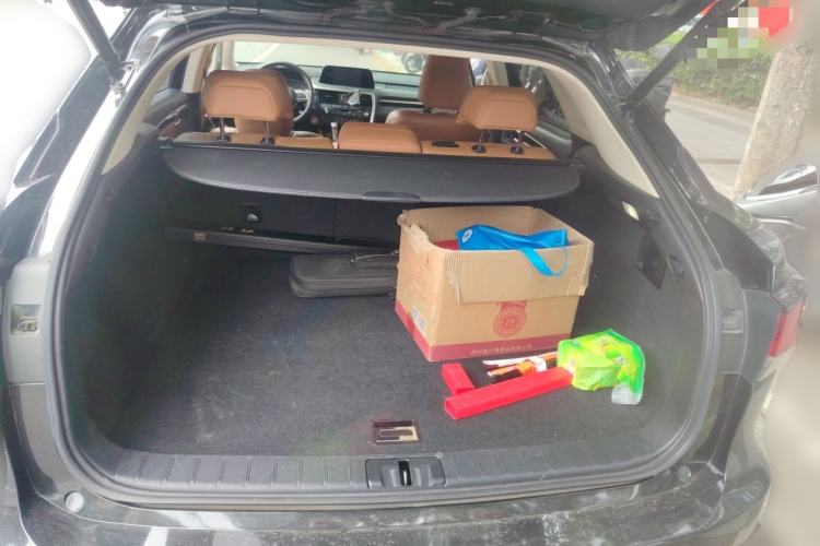 Used Lexus RX 2020 300 4x4 Elegant Edition China VI Trunk