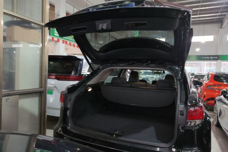 Used Lexus RX 2020 Revised Version 300 Two-Wheel Drive Elite Edition Trunk