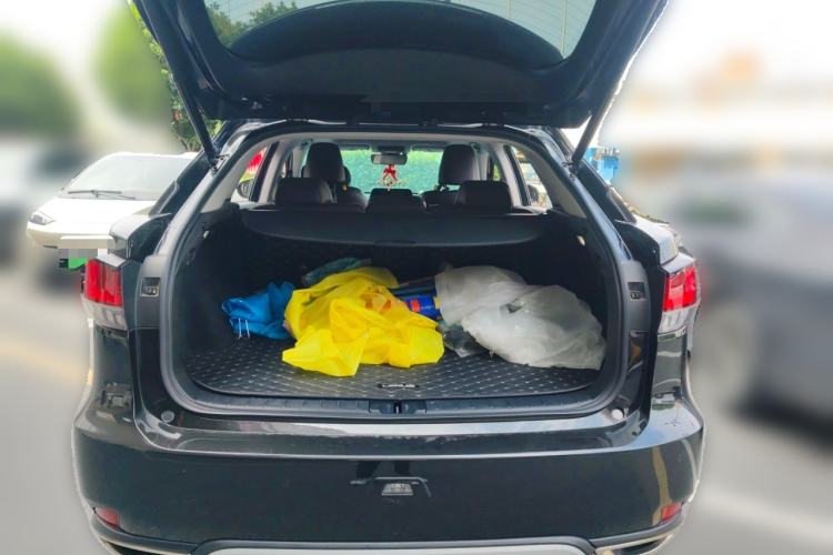 Used Lexus RX 2020 300 4x4 Elegant Edition China VI Trunk
