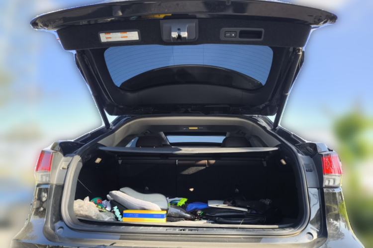 Used Lexus RX 2020 300 4x4 Elegant Edition China VI Trunk