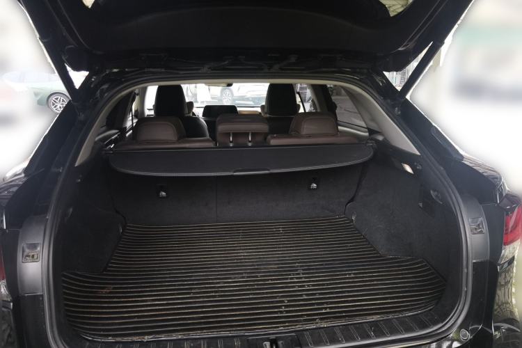 Used Lexus RX 2020 300 4x4 Elegant Edition China VI Trunk