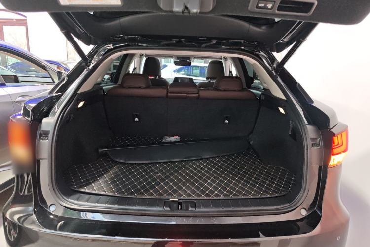 Used Lexus RX 2020 Facelifted 300 4x4 Elegant Edition Trunk