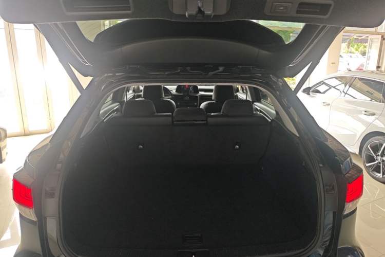 Used Lexus RX 2020 Revised Version 300 Two-Wheel Drive Elite Edition Trunk