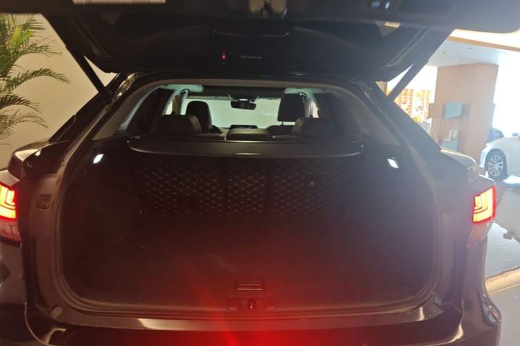 Used Lexus RX 2020 300 4x4 Elegant Edition China VI Trunk