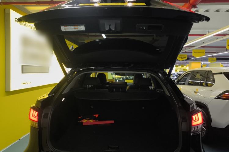 Used Lexus RX 2020 Facelifted 300 4x4 Elegant Edition Trunk