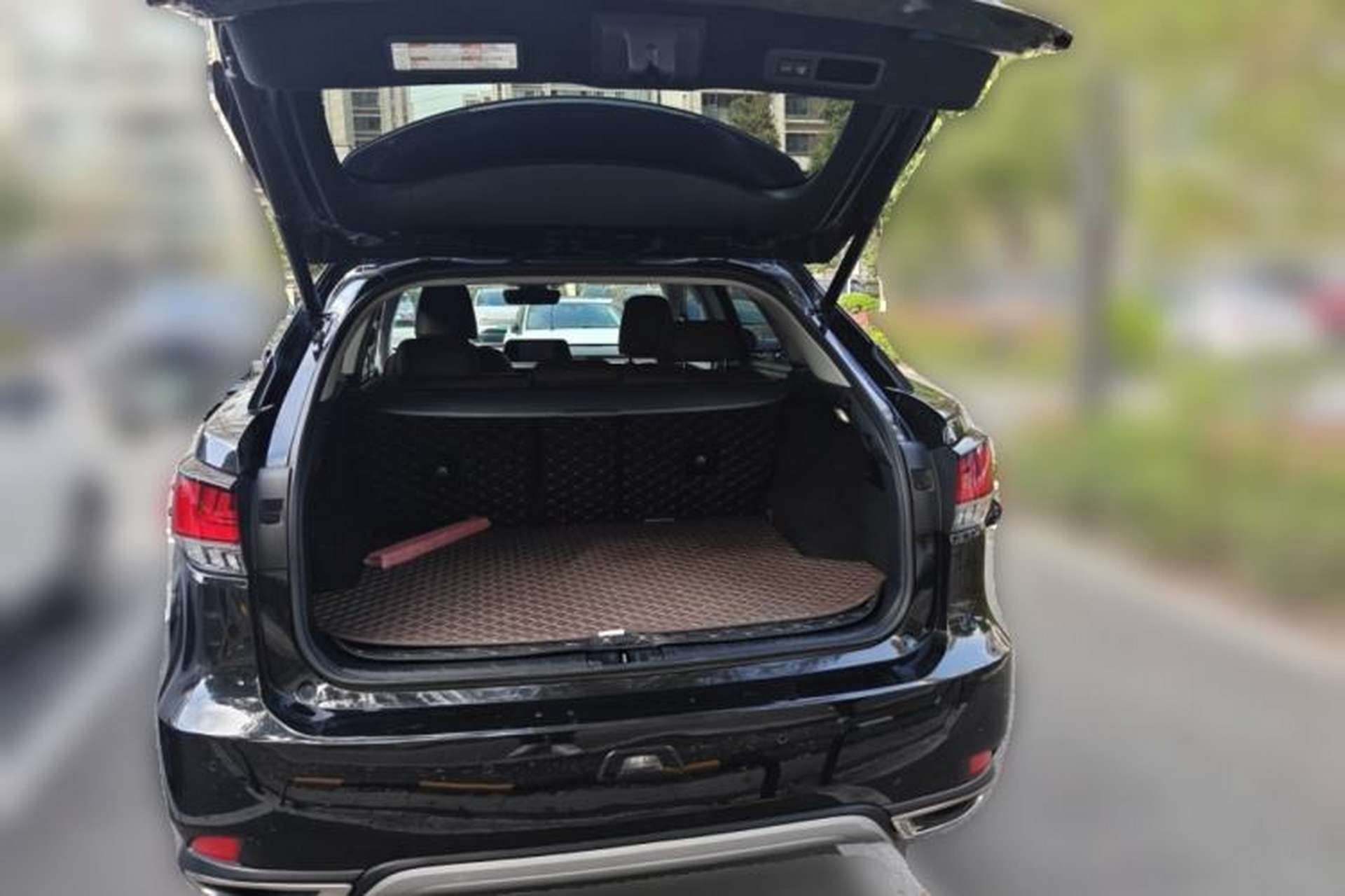 Used Lexus RX 2020 Revised Version 300 Two-Wheel Drive Comfort Edition Trunk