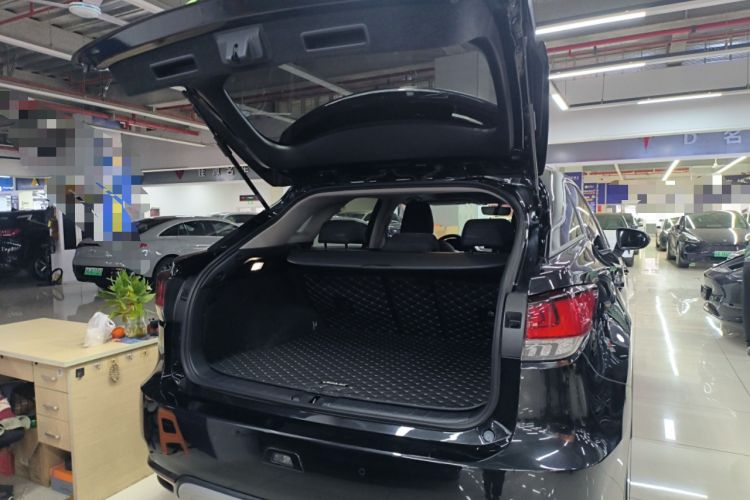 Used Lexus RX 2020 300 Two-Wheel Drive Elite Edition China VI Standard Trunk