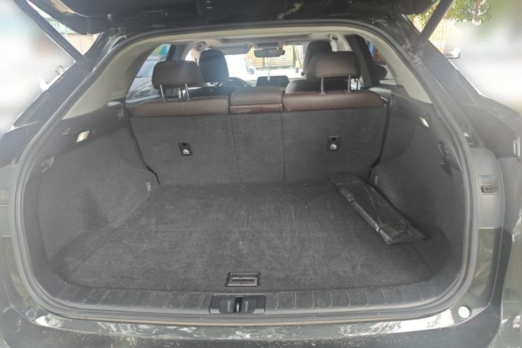 Used Lexus RX 2020 300 4x4 Elegant Edition China VI Trunk