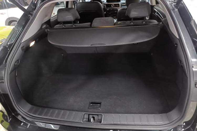 Used Lexus RX 2020 Revised Version 300 Two-Wheel Drive Elite Edition Trunk