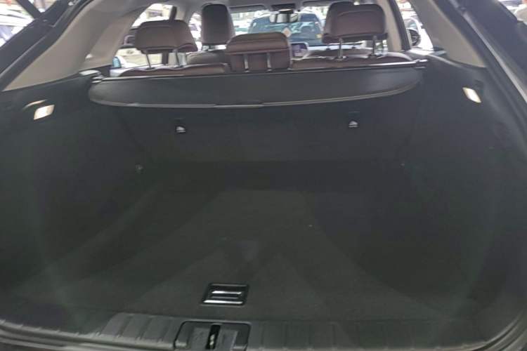 Used Lexus RX 2020 Revised Version 300 Two-Wheel Drive Comfort Edition Trunk