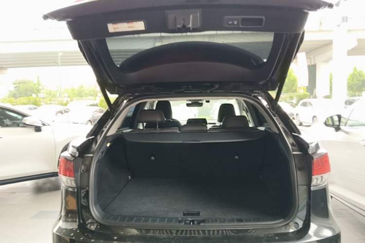 Used Lexus RX 2020 Facelifted 300 4x4 Elegant Edition Trunk