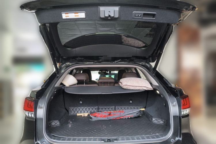 Used Lexus RX 2020 Facelifted 300 4x4 Elegant Edition Trunk