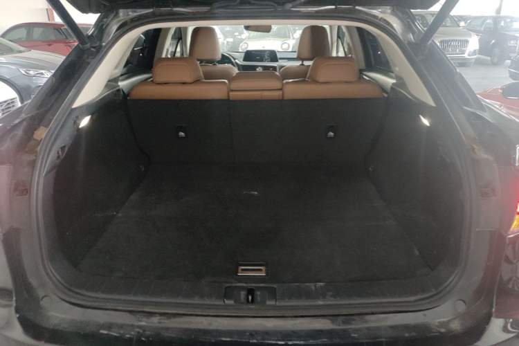 Used Lexus RX 2020 Facelifted 300 4x4 Elegant Edition Trunk