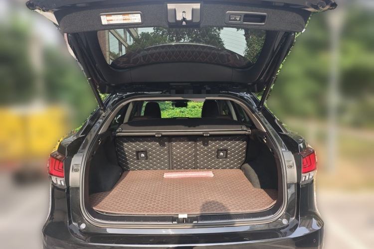 Used Lexus RX 2020 Revised Version 300 Two-Wheel Drive Comfort Edition Trunk