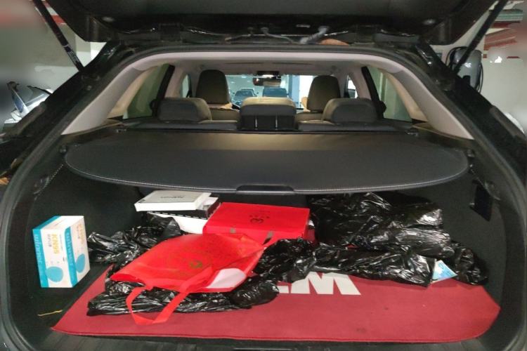 Used Lexus RX 2020 Revised Version 300 Two-Wheel Drive Elite Edition Trunk