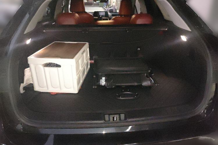Used Lexus RX 2020 Revised Version 300 Two-Wheel Drive Elite Edition Trunk