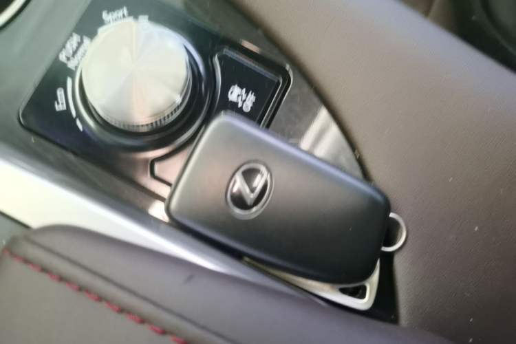 Used Lexus RX 2020 300 Two-Wheel Drive Comfort Edition China VI Standard Vehicle Key