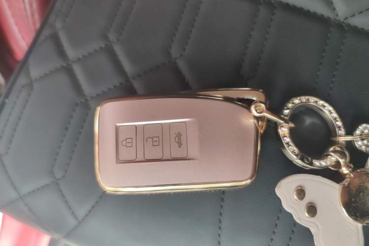 Used Lexus RX 2020 300 Two-Wheel Drive Elite Edition China VI Standard Vehicle Key