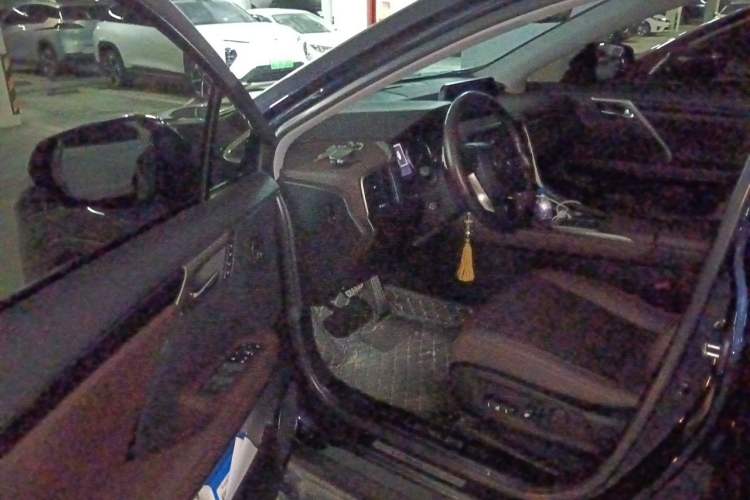 Used Lexus RX 2020 300 Two-Wheel Drive Comfort Edition China VI Standard Driver Seat
