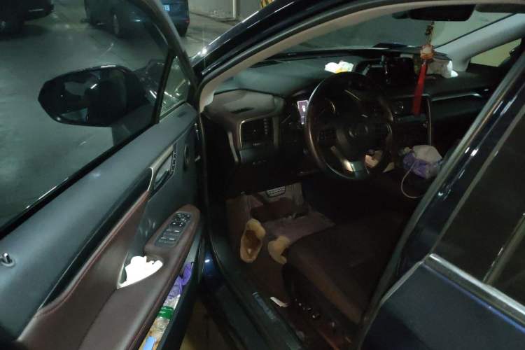 Used Lexus RX 2020 Revised Version 300 Two-Wheel Drive Comfort Edition Driver Seat