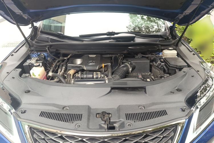 Used Lexus RX 2020 Revised Version 300 Four-Wheel Drive F SPORT Engine Bay