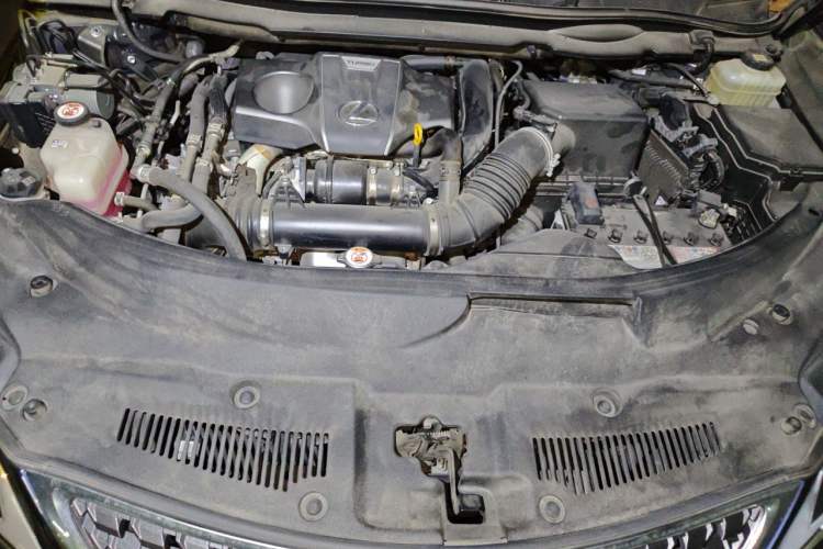 Used Lexus RX 2020 Revised Version 300 Two-Wheel Drive Elite Edition Engine Bay