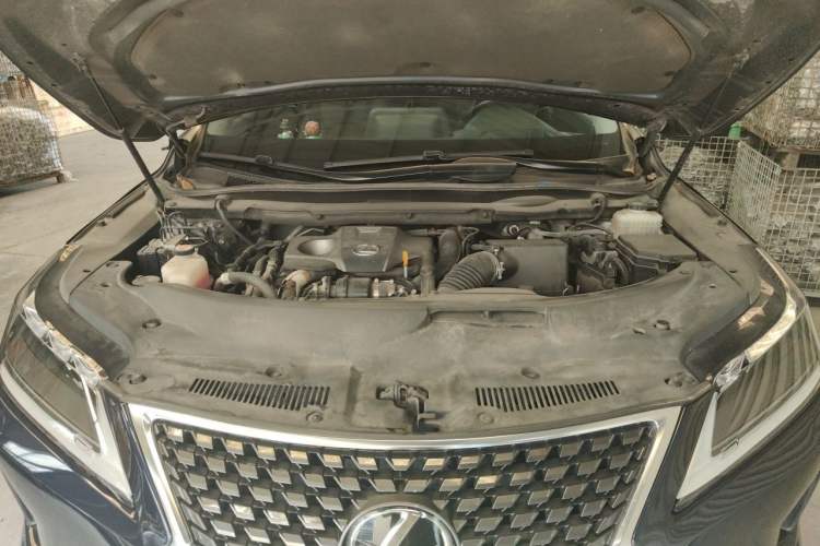 Used Lexus RX 2020 300 4x4 Elegant Edition China V Standard Engine Bay