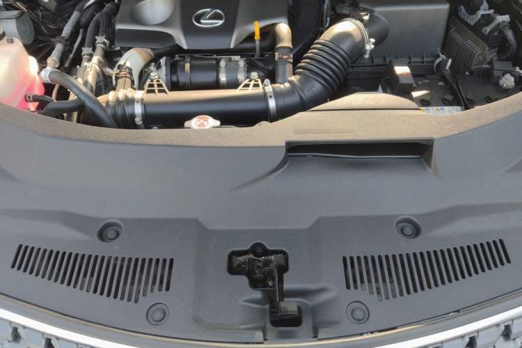 Used Lexus RX 2020 300 Two-Wheel Drive Elite Version China V Standard Engine Bay
