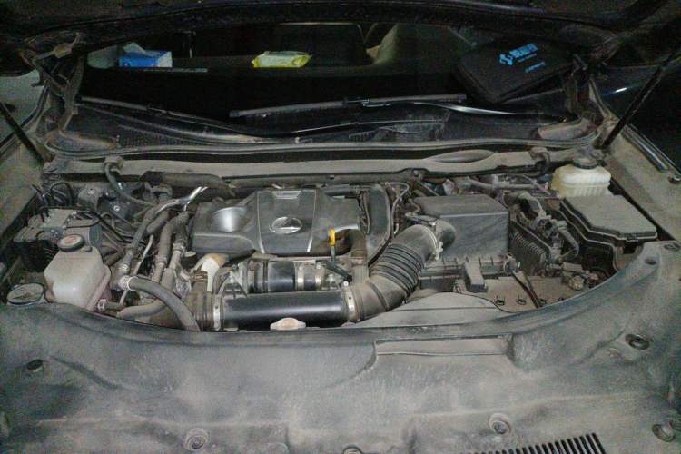 Used Lexus RX 2020 300 Two-Wheel Drive Elite Version China V Standard Engine Bay