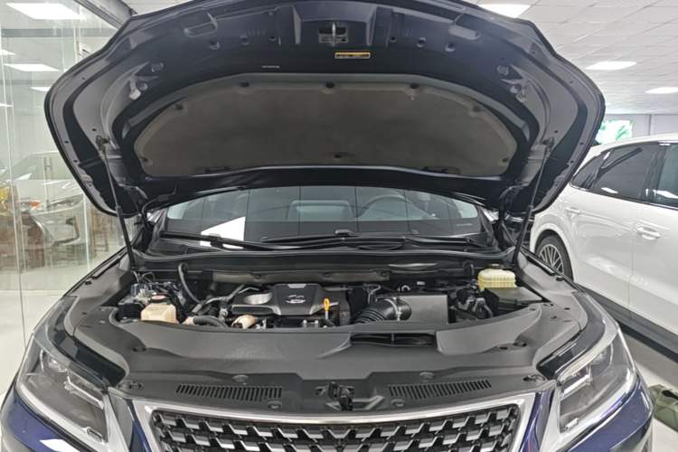 Used Lexus RX 2020 Revised Version 300 Two-Wheel Drive Elite Edition Engine Bay