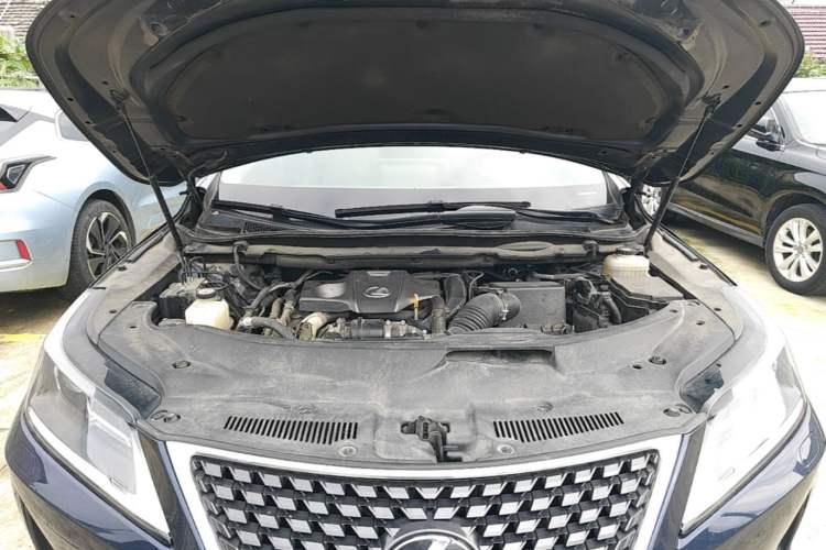 Used Lexus RX 2020 Revised Version 300 Two-Wheel Drive Comfort Edition Engine Bay