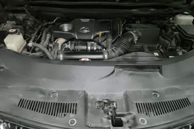 Used Lexus RX 2020 300 Two-Wheel Drive Comfort Edition China VI Standard Engine Bay